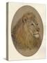 Lions Head, c1896-Frank Paton-Stretched Canvas