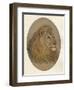 Lions Head, c1896-Frank Paton-Framed Giclee Print