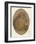 Lions Head, c1896-Frank Paton-Framed Giclee Print