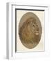 Lions Head, c1896-Frank Paton-Framed Giclee Print