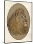 Lions Head, c1896-Frank Paton-Mounted Giclee Print