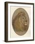 Lions Head, c1896-Frank Paton-Framed Giclee Print