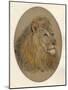 Lions Head, c1896-Frank Paton-Mounted Giclee Print