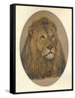Lions Head, c1896-Frank Paton-Framed Stretched Canvas