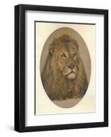 Lions Head, c1896-Frank Paton-Framed Premium Giclee Print