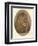 Lions Head, c1896-Frank Paton-Framed Premium Giclee Print