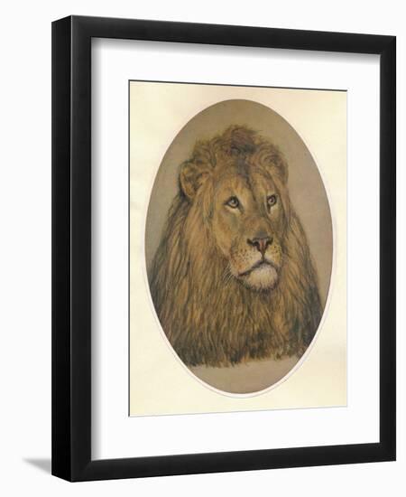 Lions Head, c1896-Frank Paton-Framed Premium Giclee Print