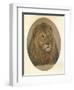 Lions Head, c1896-Frank Paton-Framed Premium Giclee Print