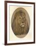 Lions Head, c1896-Frank Paton-Framed Giclee Print