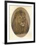 Lions Head, c1896-Frank Paton-Framed Giclee Print