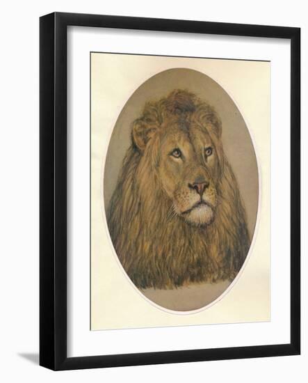 Lions Head, c1896-Frank Paton-Framed Giclee Print