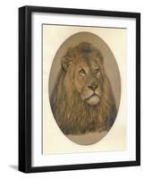 Lions Head, c1896-Frank Paton-Framed Giclee Print