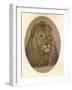 Lions Head, c1896-Frank Paton-Framed Giclee Print