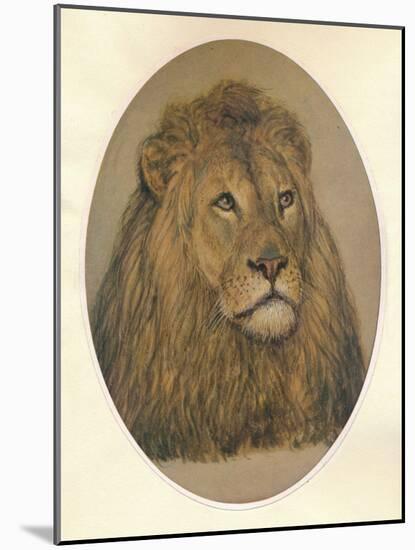 Lions Head, c1896-Frank Paton-Mounted Giclee Print