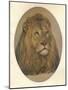 Lions Head, c1896-Frank Paton-Mounted Giclee Print