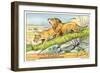 Lions in the Congo-null-Framed Art Print