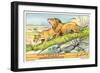 Lions in the Congo-null-Framed Art Print