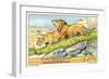 Lions in the Congo-null-Framed Art Print