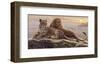 Lions of the Mara-Kalon Baughan-Framed Art Print