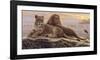 Lions of the Mara-Kalon Baughan-Framed Art Print