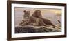 Lions of the Mara-Kalon Baughan-Framed Art Print