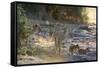 Lions (Panthera leo), Khwai Conservation Area, Okavango Delta, Botswana, Africa-Sergio Pitamitz-Framed Stretched Canvas