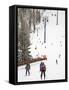 Lionshead Village Ski Run, Vail Ski Resort, Rocky Mountains, Colorado, USA-Richard Cummins-Framed Stretched Canvas