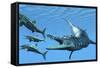 Liopleurodon Reptile Hunting Ichthyosaurus Dinosaurs in Jurassic Seas-null-Framed Stretched Canvas