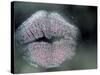 Lip Imprint on Window-William Sutton-Stretched Canvas