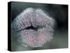 Lip Imprint on Window-William Sutton-Stretched Canvas