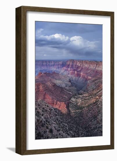 Lipan Point, South Rim, Grand Canyon National Park, Arizona, Usa-Rainer Mirau-Framed Photographic Print