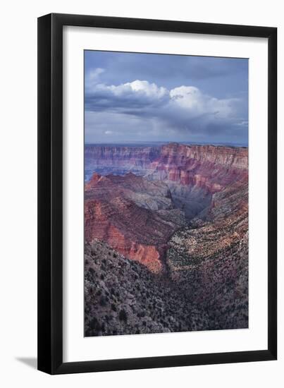 Lipan Point, South Rim, Grand Canyon National Park, Arizona, Usa-Rainer Mirau-Framed Photographic Print