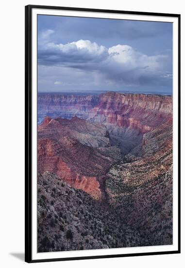 Lipan Point, South Rim, Grand Canyon National Park, Arizona, Usa-Rainer Mirau-Framed Premium Photographic Print