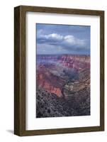 Lipan Point, South Rim, Grand Canyon National Park, Arizona, Usa-Rainer Mirau-Framed Photographic Print