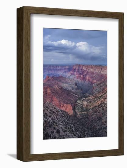 Lipan Point, South Rim, Grand Canyon National Park, Arizona, Usa-Rainer Mirau-Framed Photographic Print