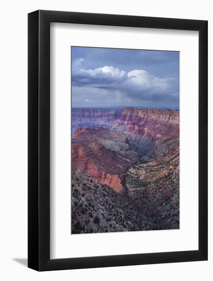 Lipan Point, South Rim, Grand Canyon National Park, Arizona, Usa-Rainer Mirau-Framed Photographic Print