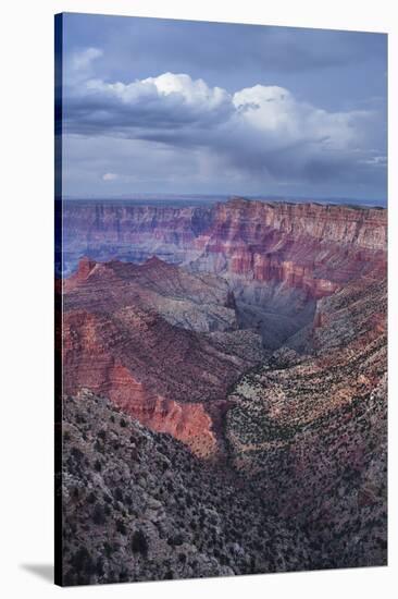 Lipan Point, South Rim, Grand Canyon National Park, Arizona, Usa-Rainer Mirau-Stretched Canvas