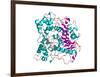 Lipase Molecule-Laguna Design-Framed Photographic Print