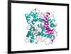 Lipase Molecule-Laguna Design-Framed Photographic Print