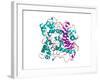 Lipase Molecule-Laguna Design-Framed Photographic Print