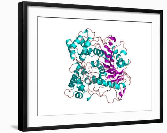 Lipase Molecule-Laguna Design-Framed Photographic Print