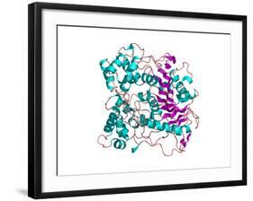 Lipase Molecule-Laguna Design-Framed Photographic Print