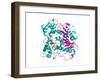 Lipase Molecule-Laguna Design-Framed Photographic Print