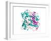 Lipase Molecule-Laguna Design-Framed Photographic Print