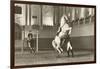 Lipizzaner, Vienna, Austria-null-Framed Premium Giclee Print