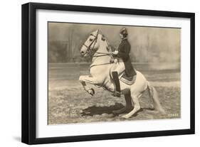 Lipizzaner-null-Framed Art Print