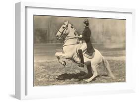 Lipizzaner-null-Framed Art Print