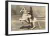 Lipizzaner-null-Framed Art Print