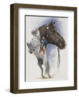 Lippizaner-Barbara Keith-Framed Giclee Print