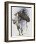 Lippizaner-Barbara Keith-Framed Giclee Print